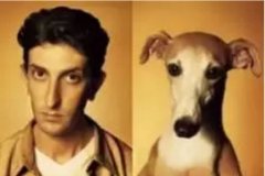 對于狗狗的這些秘密，您知道多少？