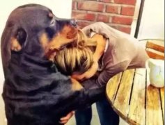 關(guān)于狗子，你不知道的秘密