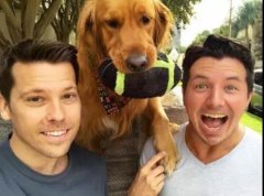 論演技，你恐怕比不上一只狗。。。