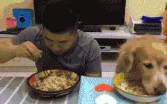 如果你家也有只吃貨狗狗，這點一定要注意！