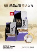 爵加新品幼貓精選上市！