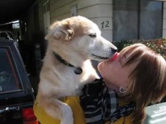 狗狗喜歡舔你，原來是想告訴你這些！